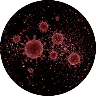 Sistema Imunológico